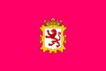 bandera de Léon